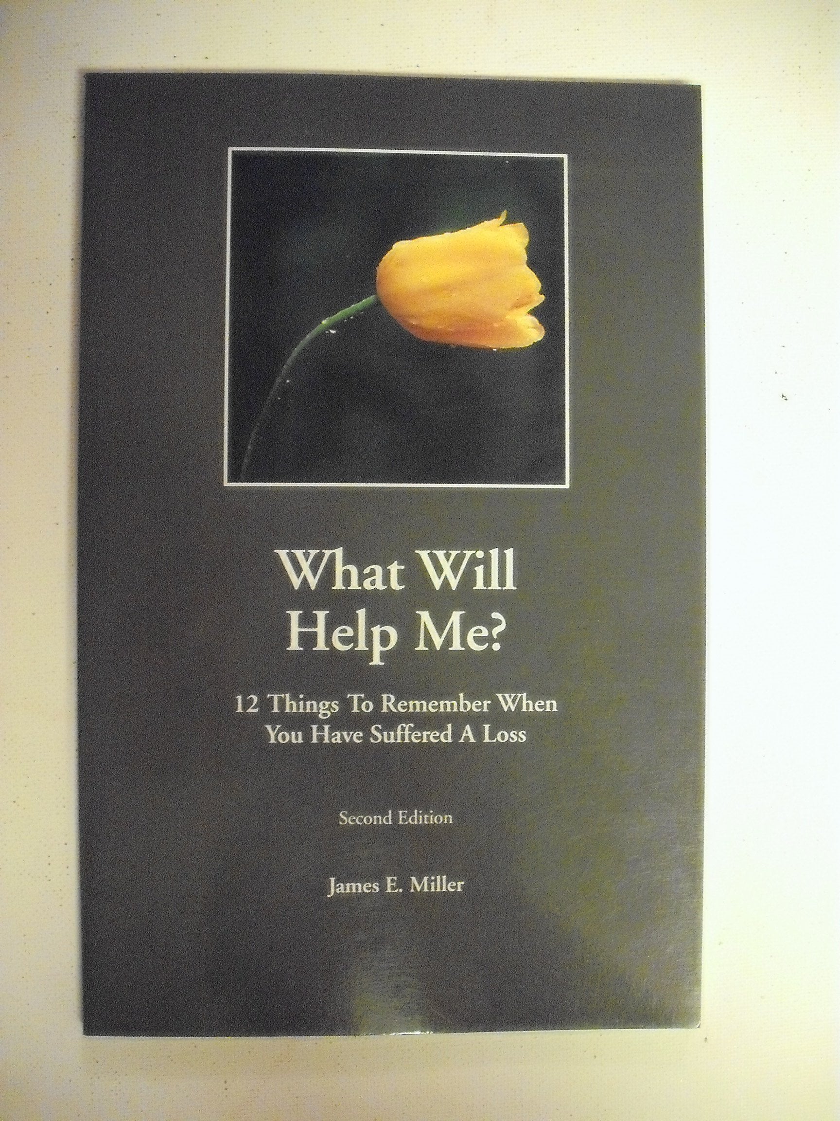 How Can I Help? / What Will Help Me? 12 things to do when someone you know suffers a loss / 12 things to remember when you have ,Used