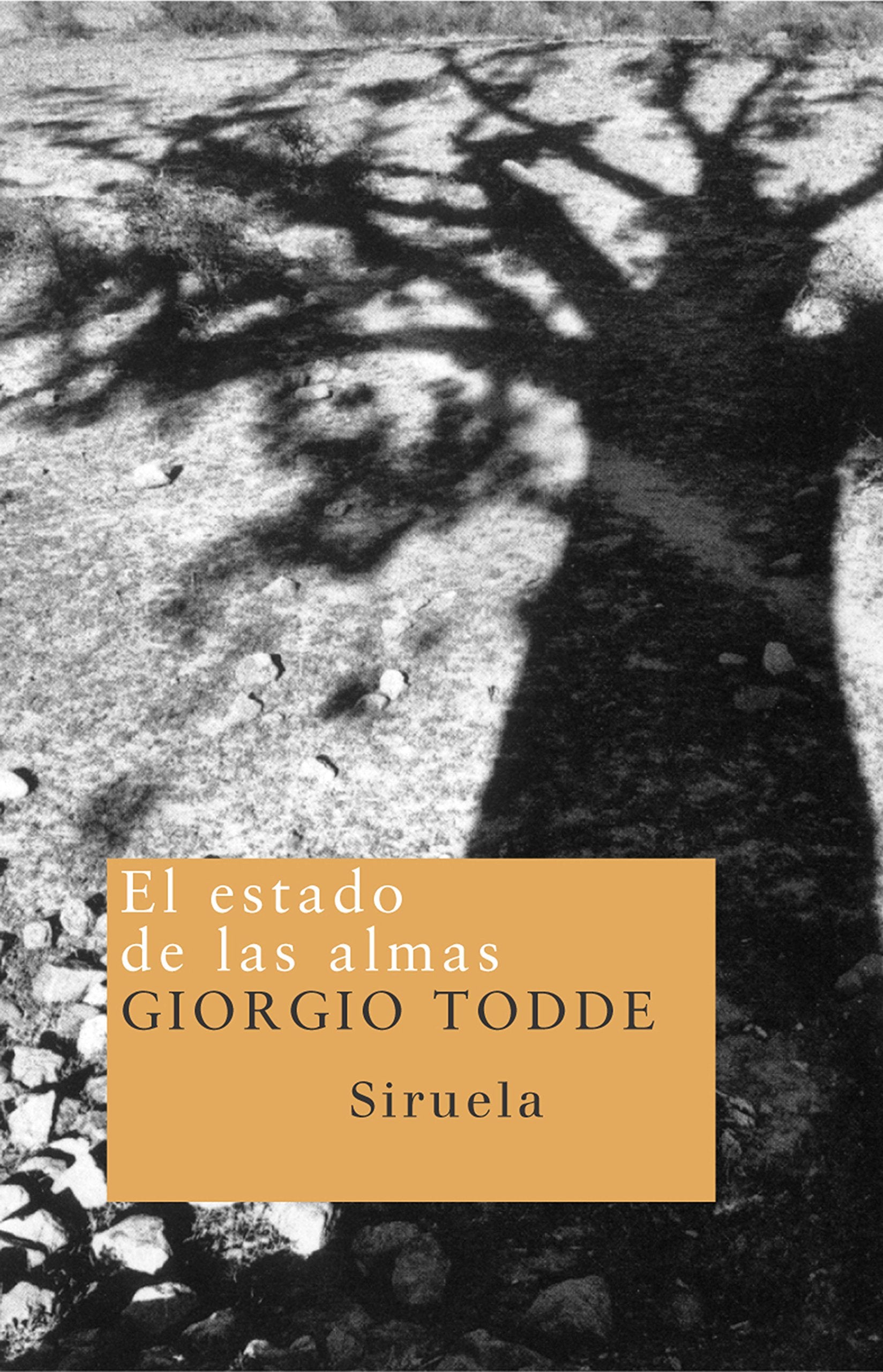 El estado de las almas (Nuevos Tiempos) (Spanish Edition),Used