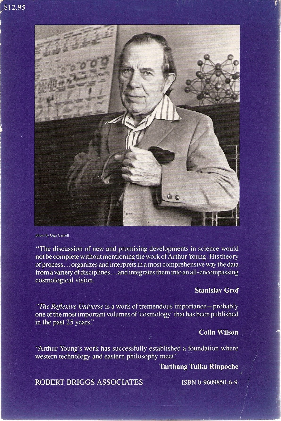 The Reflexive Universe: Evolution Of Consciousness,Used