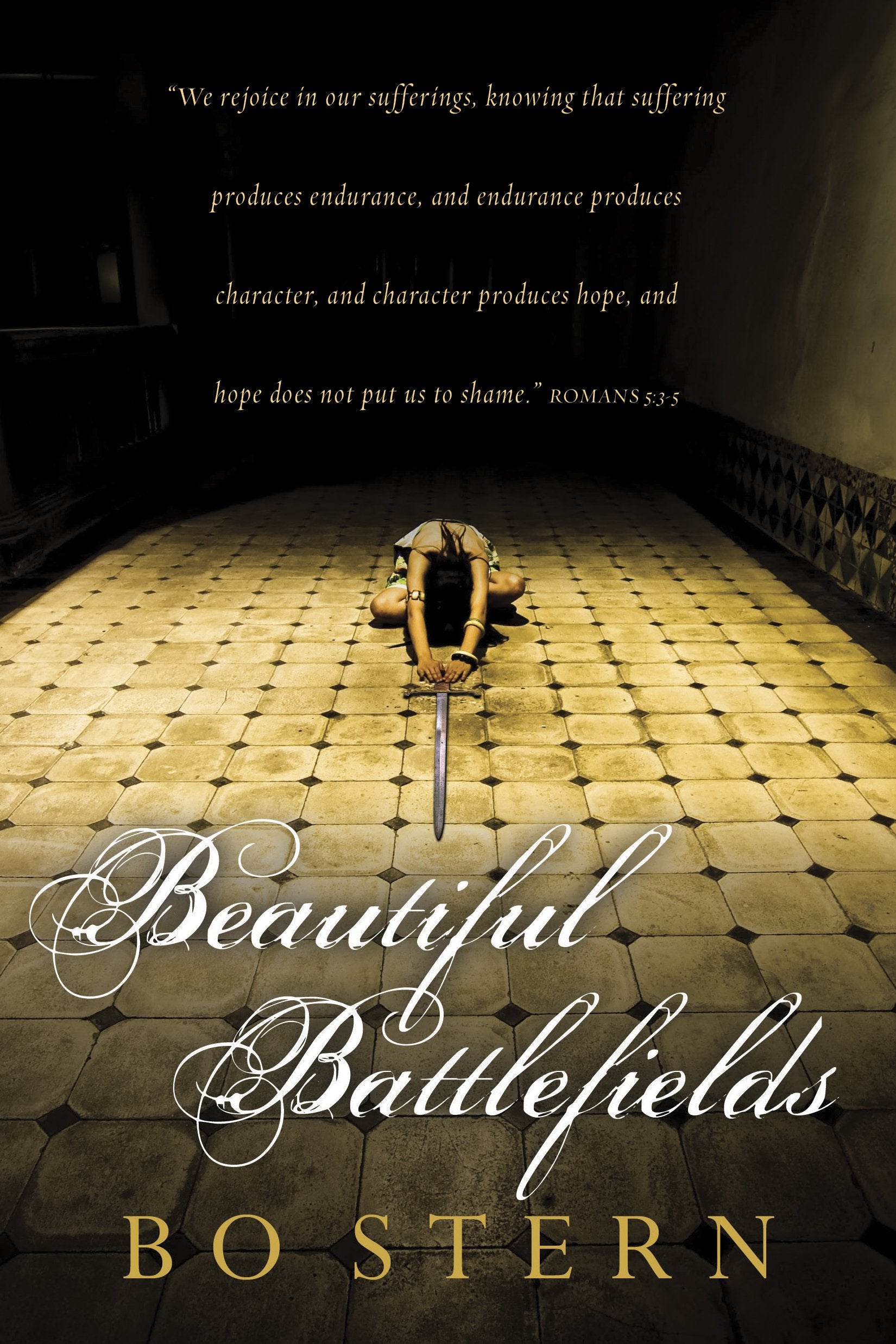 Beautiful Battlefields,Used
