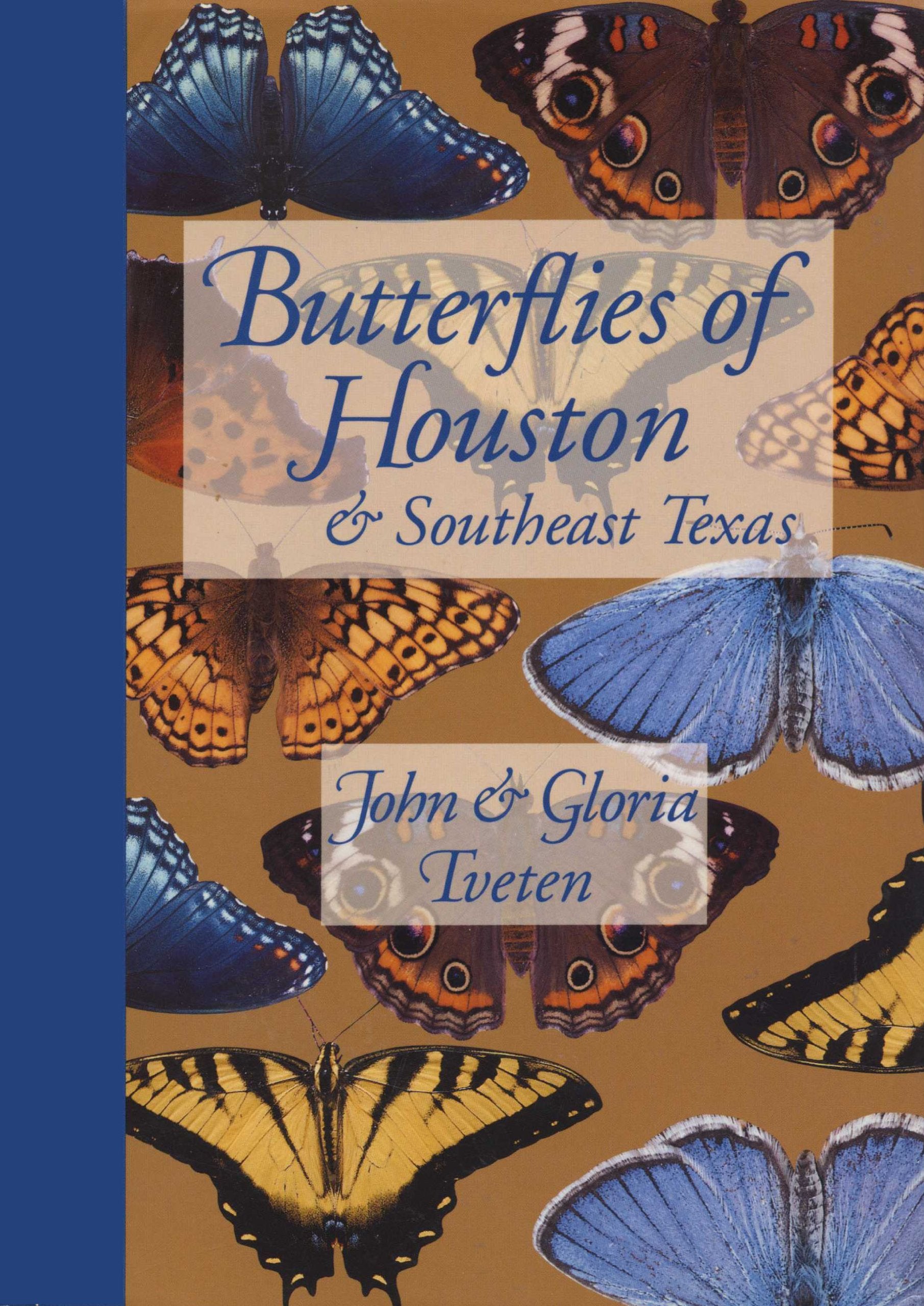 Butterflies of Houston and Southeast Texas (Corrie Herring Hooks Series),New
