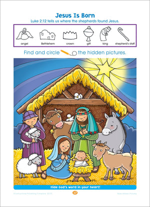 School Zone  Bible Hidden Pictures! Workbook  Ages 4 To 6, Preschool To Kindergarten, Christian Scripture, Old & New Testament,Used