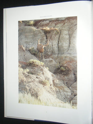 Mule Deer Country,New