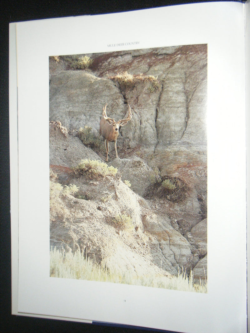 Mule Deer Country,Used