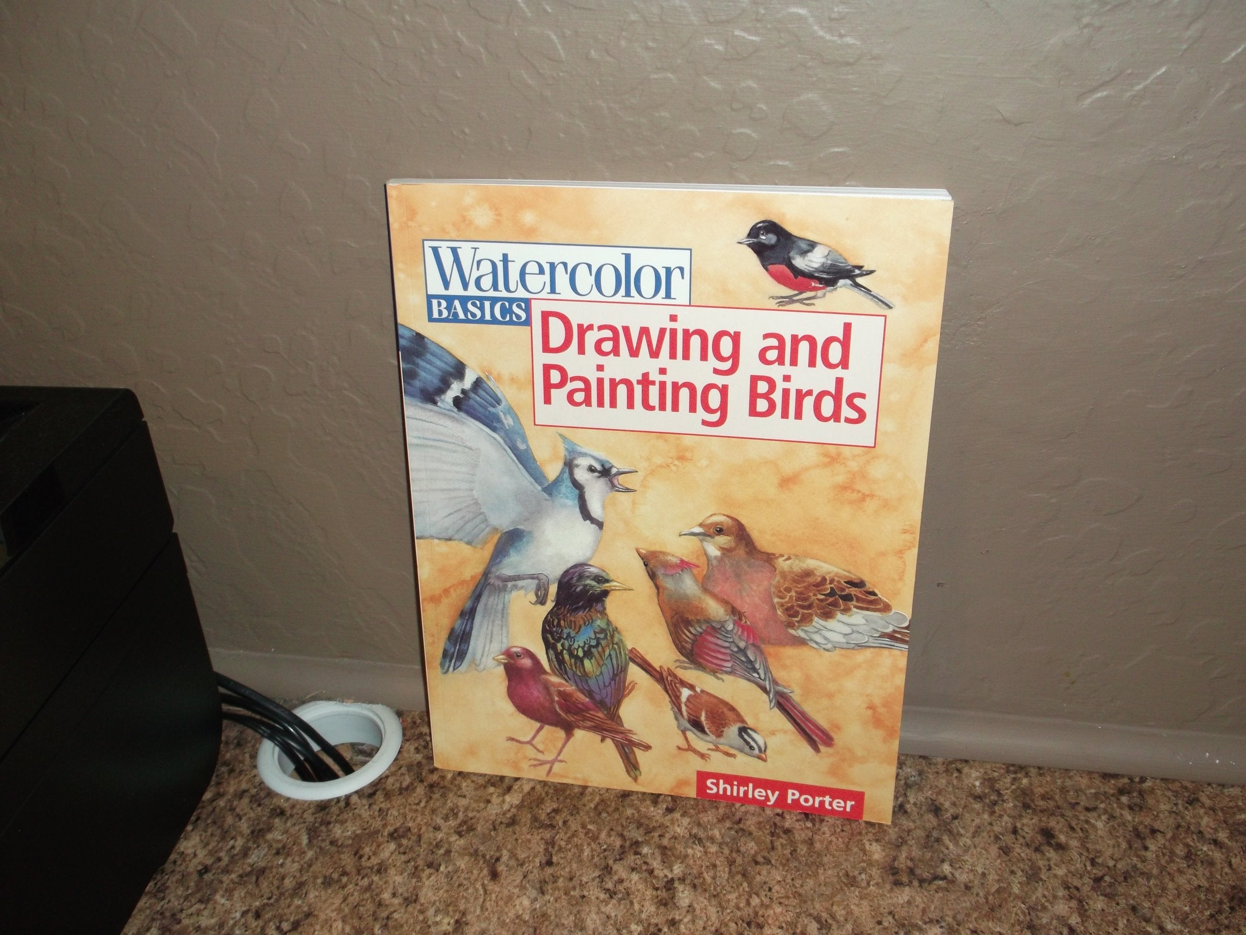 Watercolor Basics Drawing And Painting Birds,New