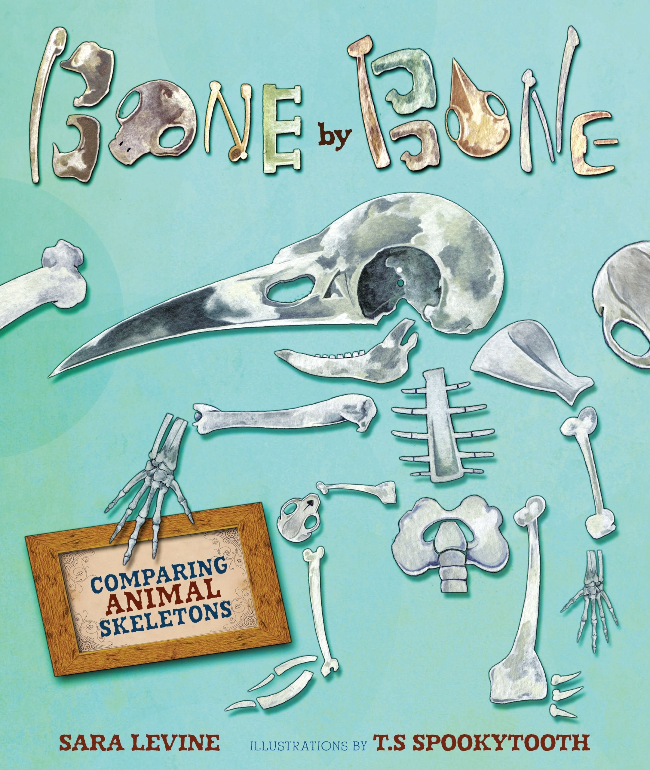 Bone By Bone: Comparing Animal Skeletons (Animal By Animal)