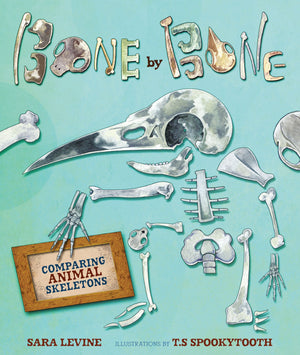 Bone By Bone: Comparing Animal Skeletons (Animal By Animal)