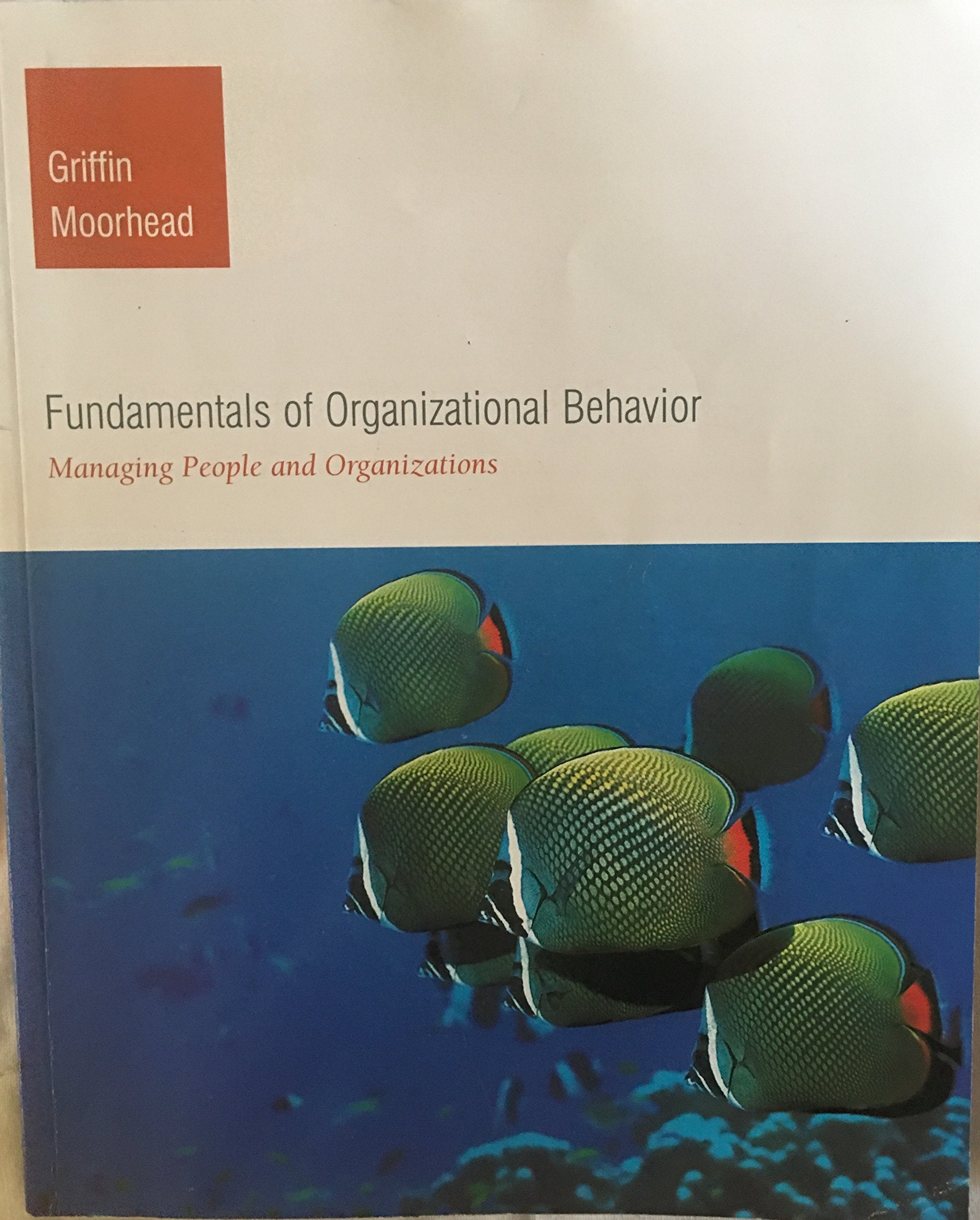 Fundamentals of Organizational Behavior: Managing People and Organizations,New