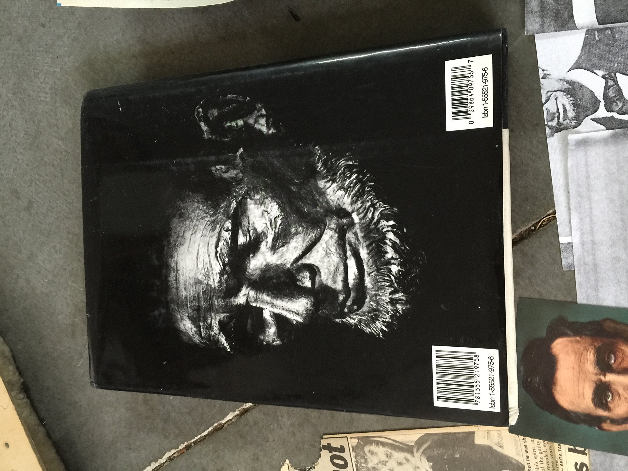 Twenty Days, A Narrative in Text and Pictures of the Assassination of Abraham Lincoln,New