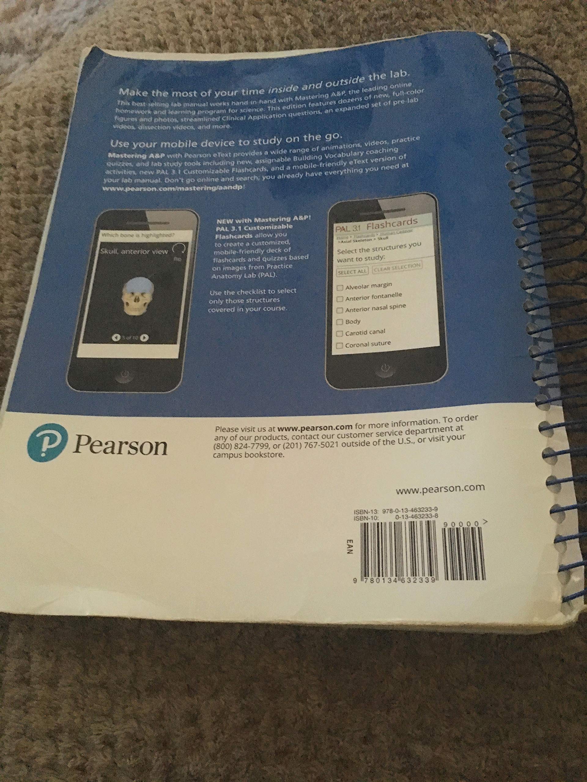 Human Anatomy & Physiology Laboratory Manual, Cat Version,Used