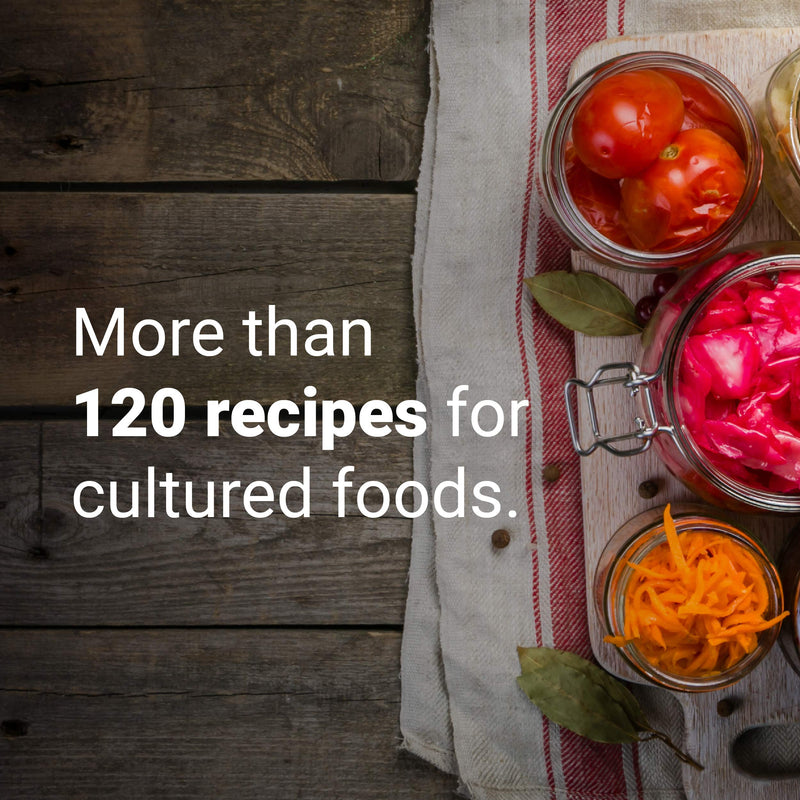 Ferment: A Guide to the Ancient Art of Culturing Foods, from Kombucha to Sourdough,Used