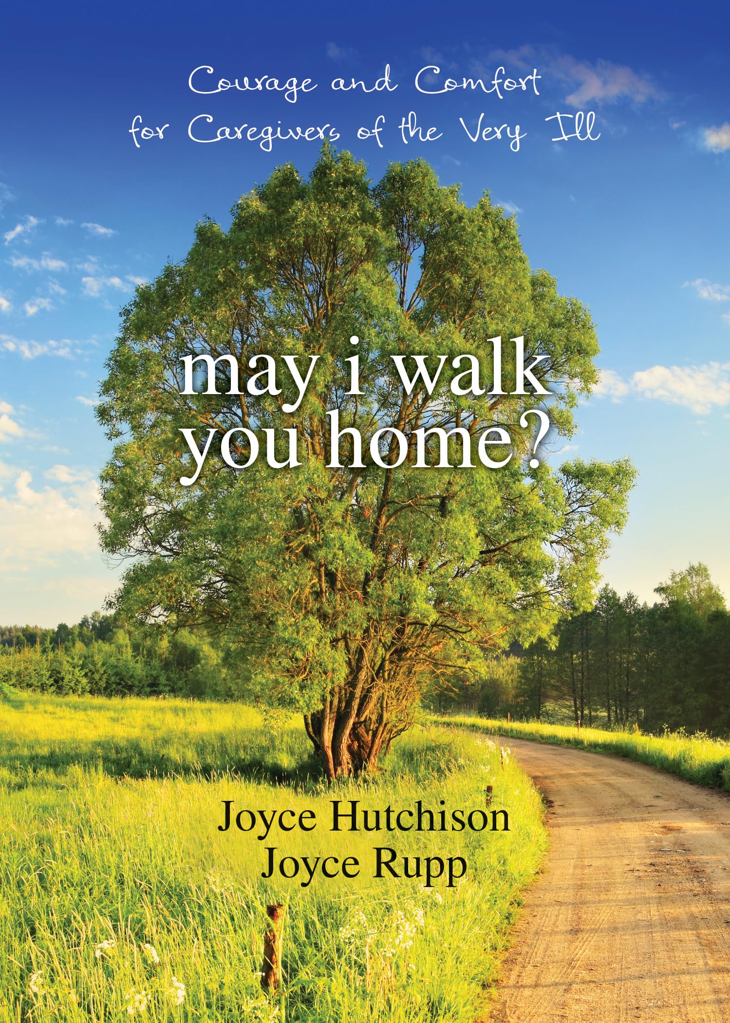 May I Walk You Home?: Courage and Comfort for Caregivers of the Very Ill (10th Anniversary Edition),Used