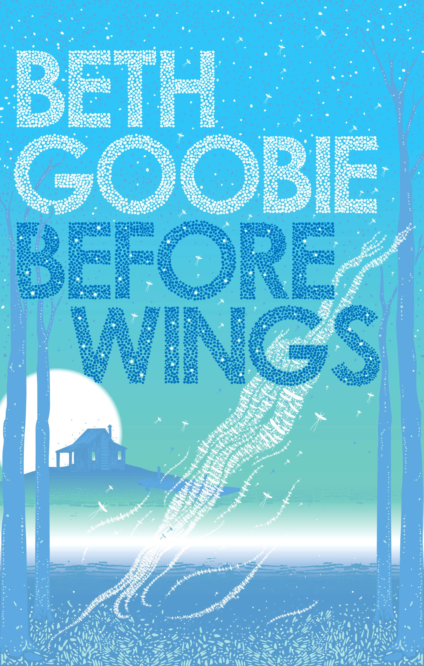 Before Wings,Used