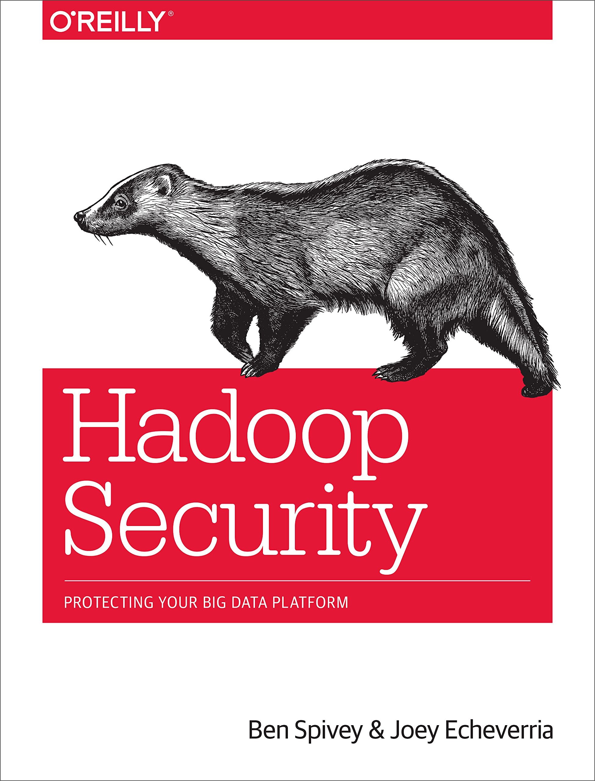 Hadoop Security: Protecting Your Big Data Platform,Used