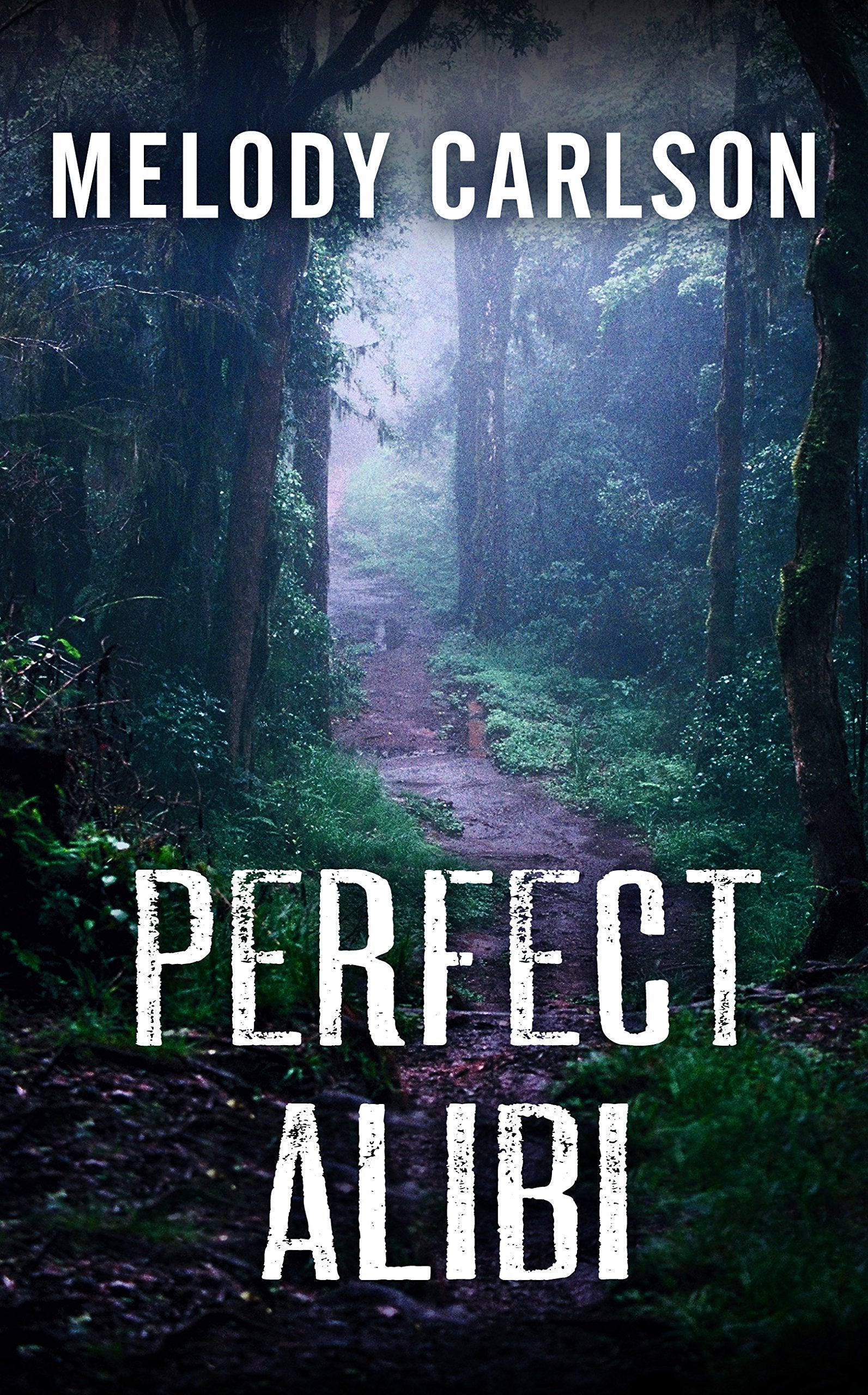 Perfect Alibi (Thorndike Press large print Christian mystery),Used