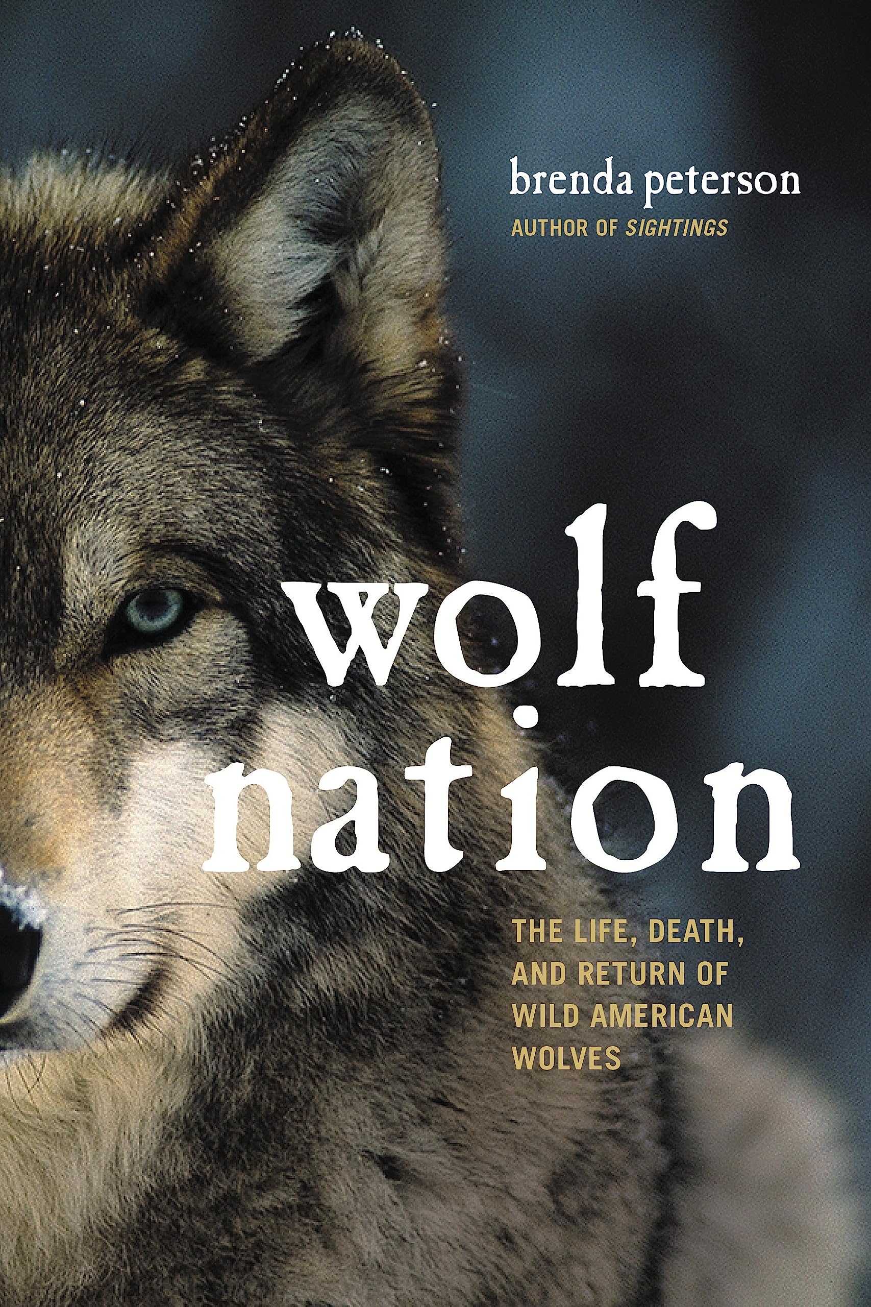 Wolf Nation: The Life, Death, And Return Of Wild American Wolves (A Merloyd Lawrence Book)