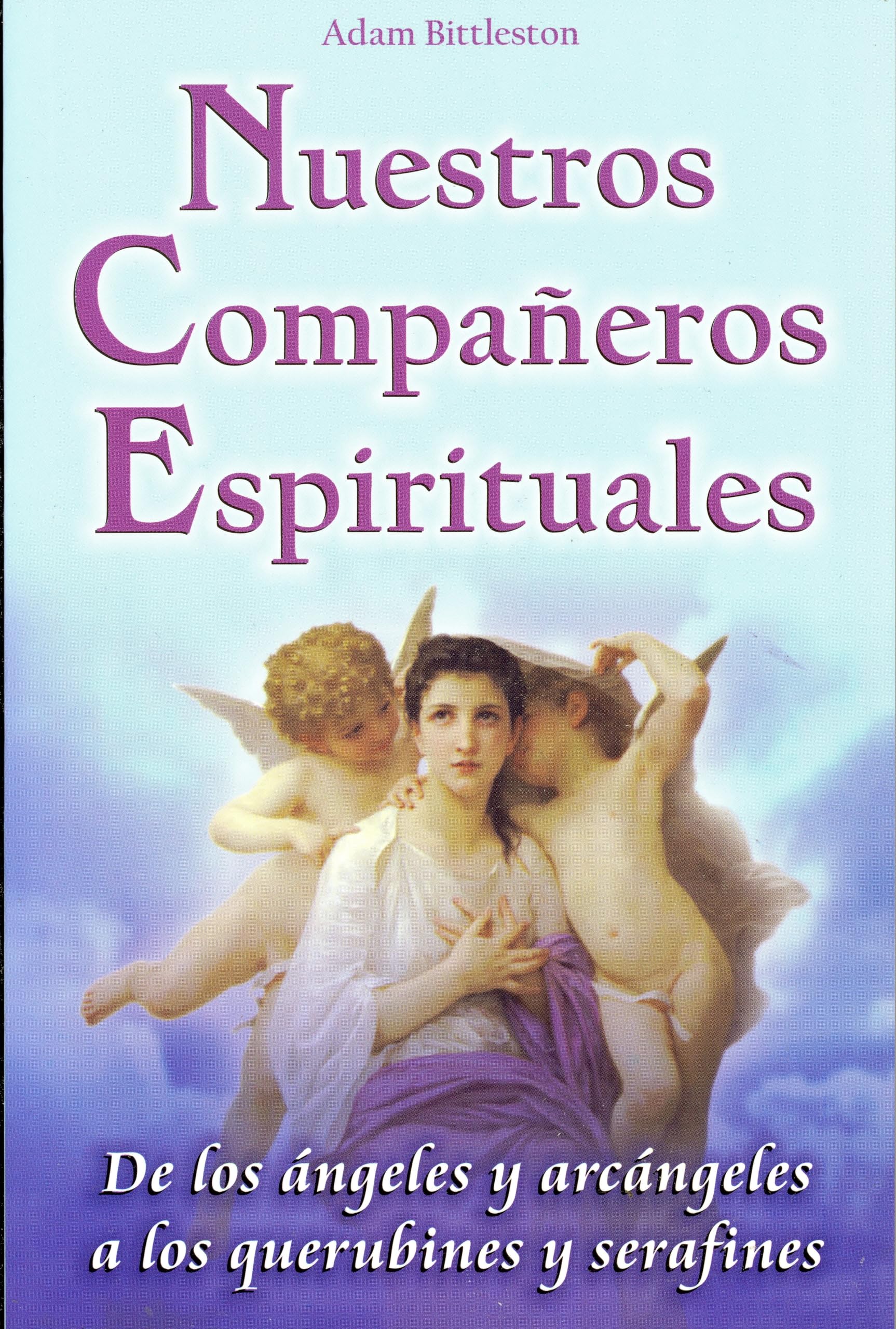 Nuestros Companeros Espirituales (Spanish Edition),Used