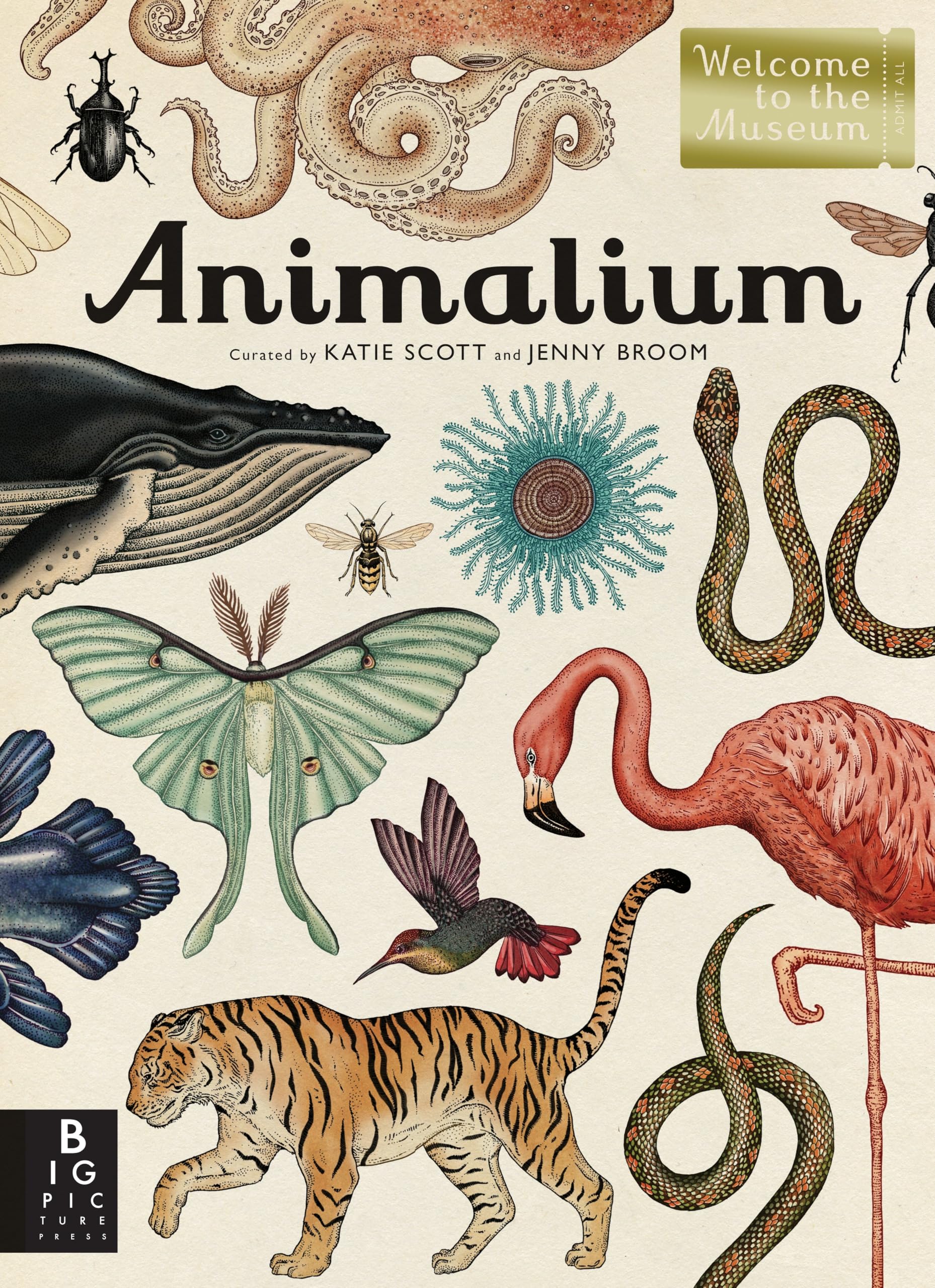 Animalium: Welcome to the Museum,Used