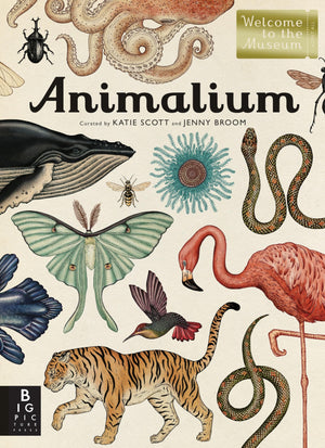 Animalium: Welcome to the Museum,Used