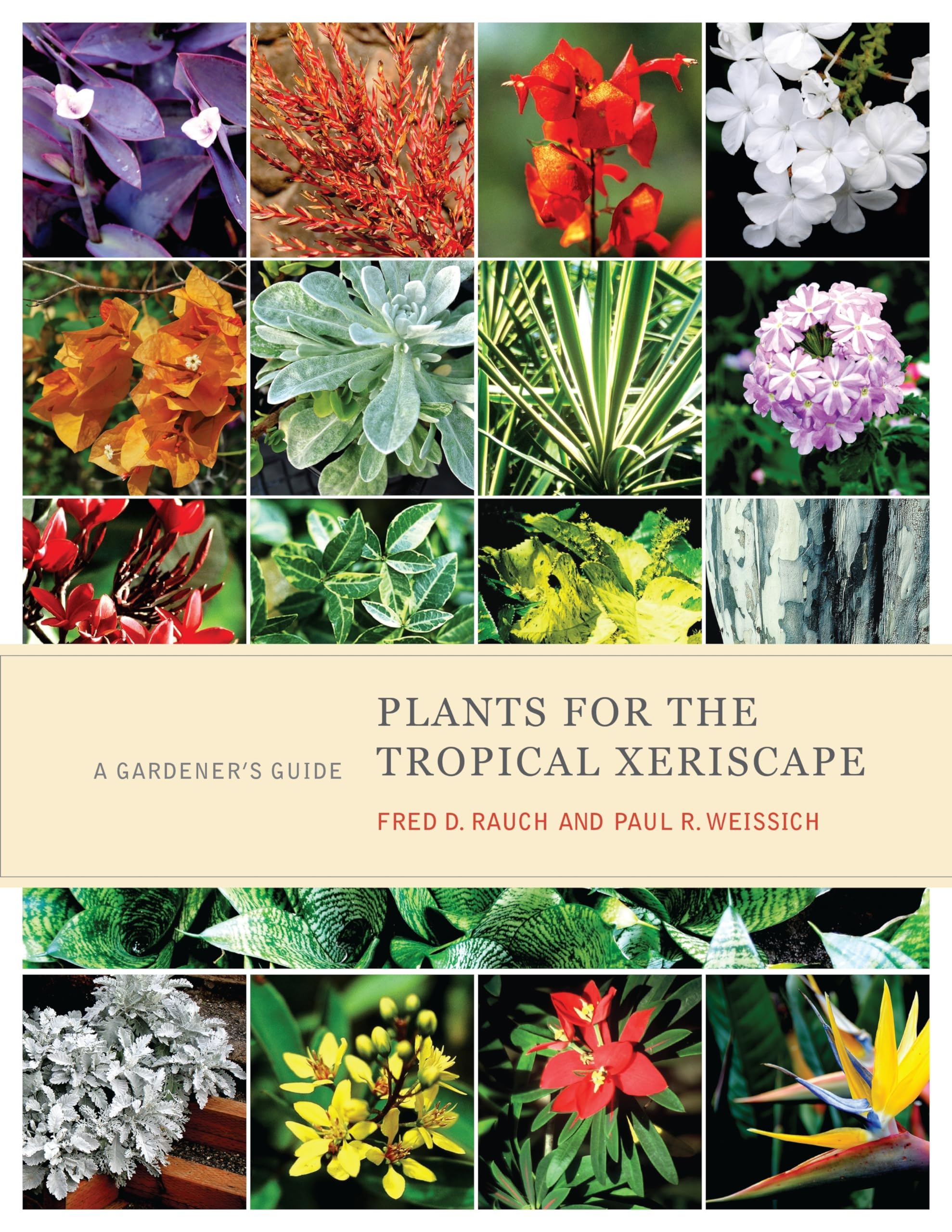 Plants for the Tropical Xeriscape: A Gardener's Guide,Used