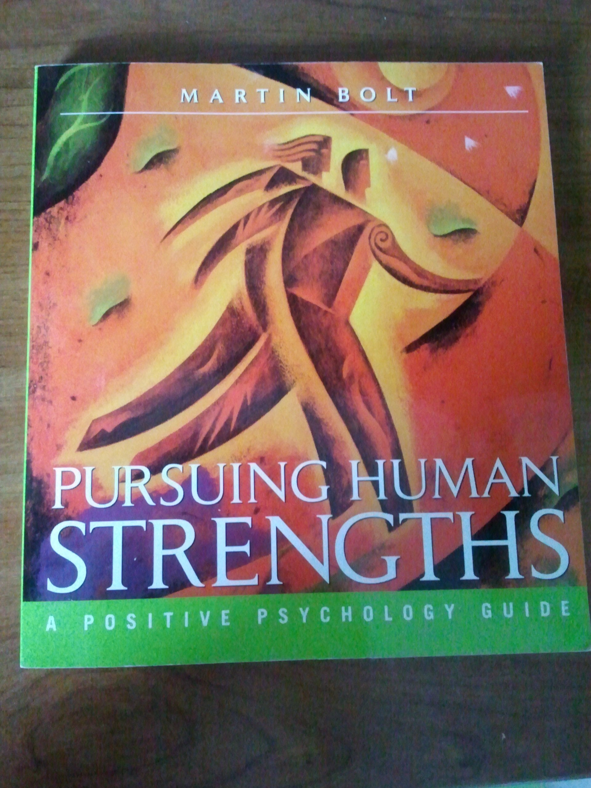Pursuing Human Strengths: A Positive Psychology Guide,Used