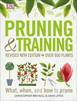 Pruning and Training, Revised New Edition: What, When, and How to Prune,New