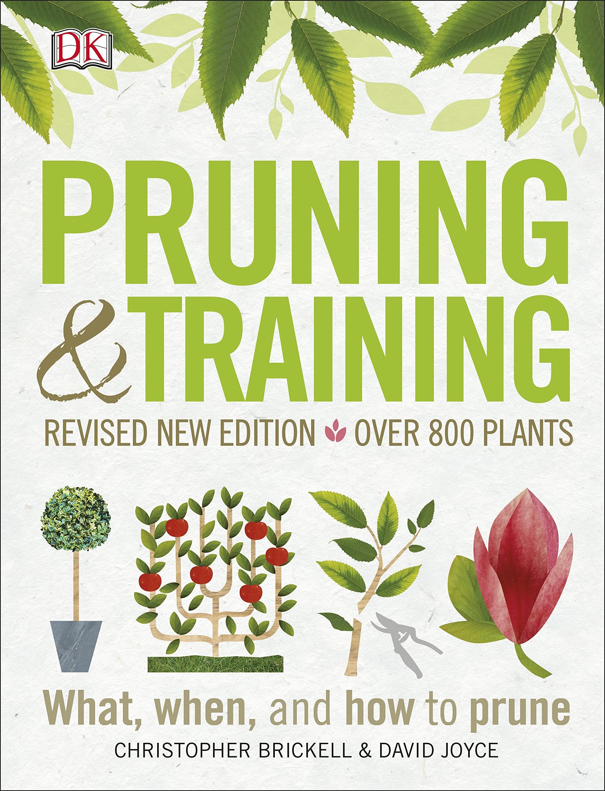 Pruning and Training, Revised New Edition: What, When, and How to Prune,Used