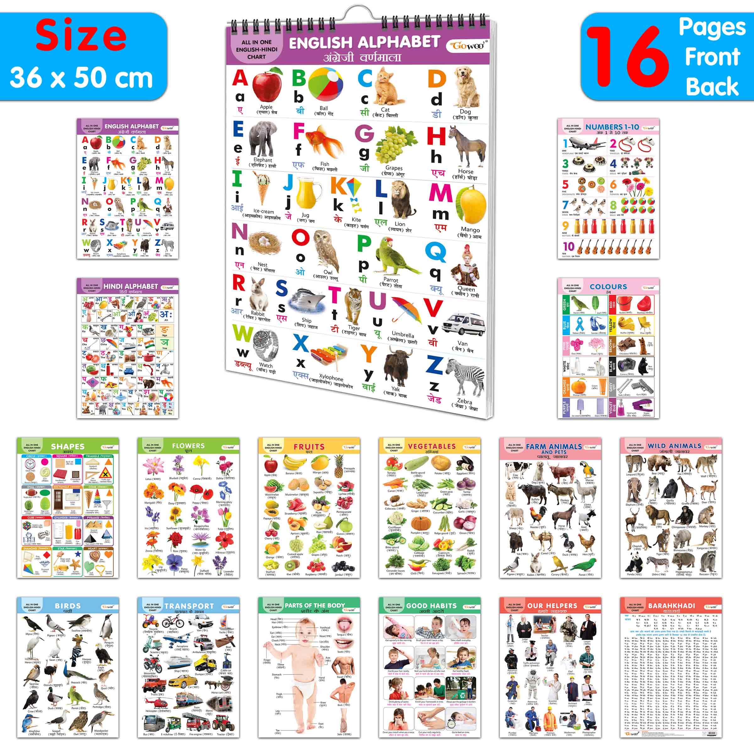 Lkg Class Picture Chart : Chart For Children, All In One Essential Chart, Gift For Kids My First All In One Spiral Chart English-Hindi With 16 Topics, Gift For Birthday
