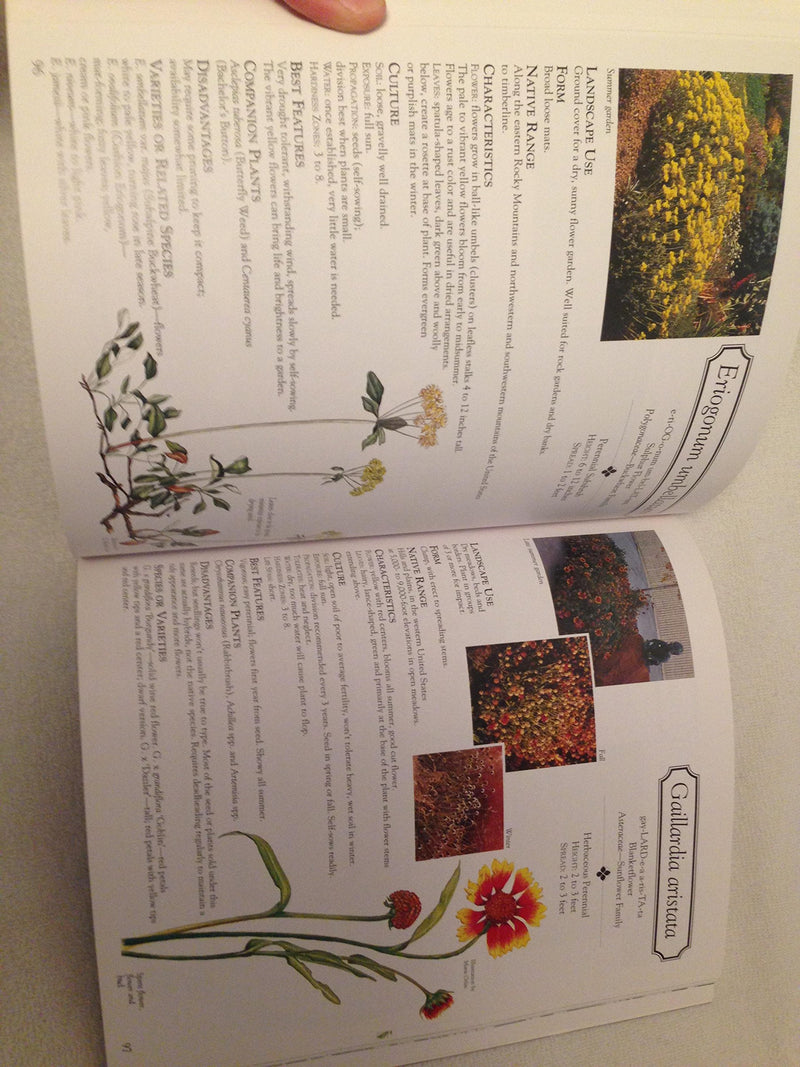 Grow Your Own in Pots,Used