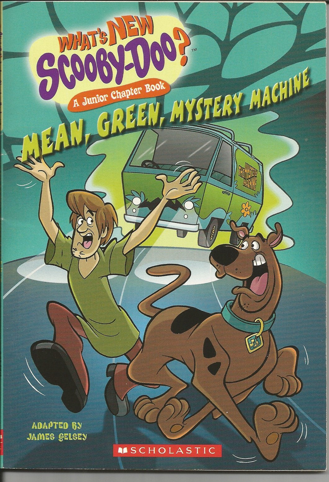 Mean Green Mystery Machine (Whats New Scooby Doo? A Junior Chapter Book #2),Used