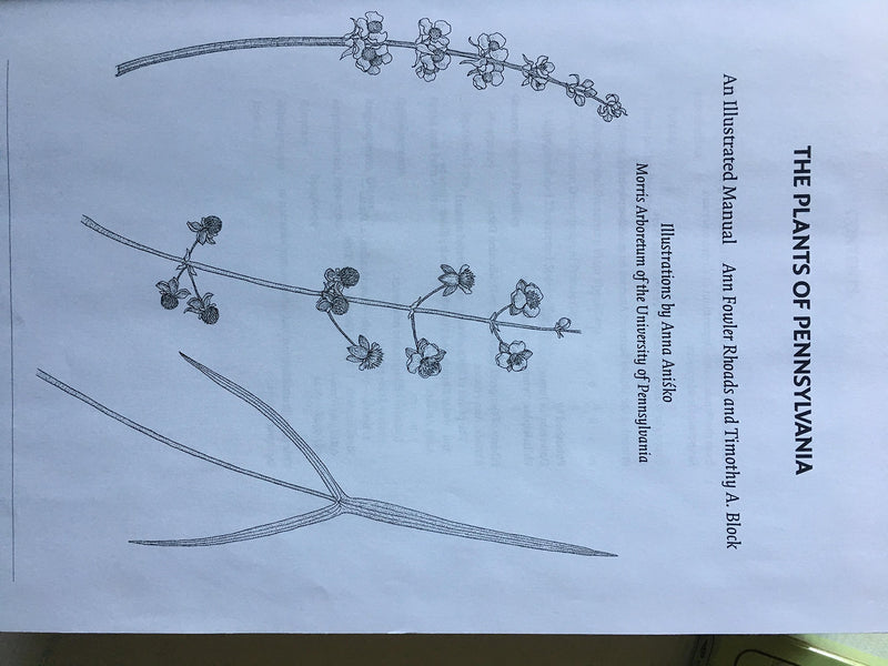 The Plants Of Pennsylvania: An Illustrated Manual,Used