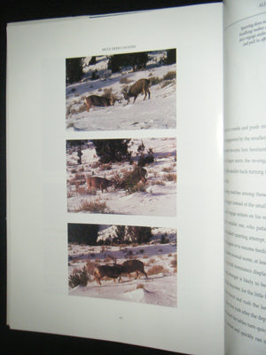 Mule Deer Country,New