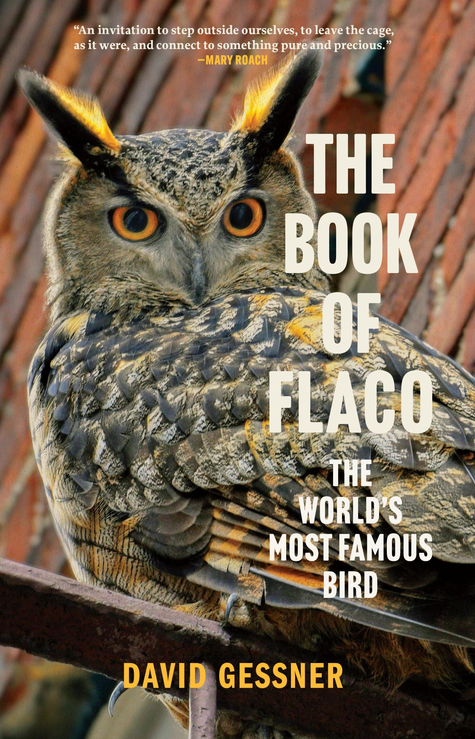 The Book Of Flaco: The WorldS Most Famous Bird