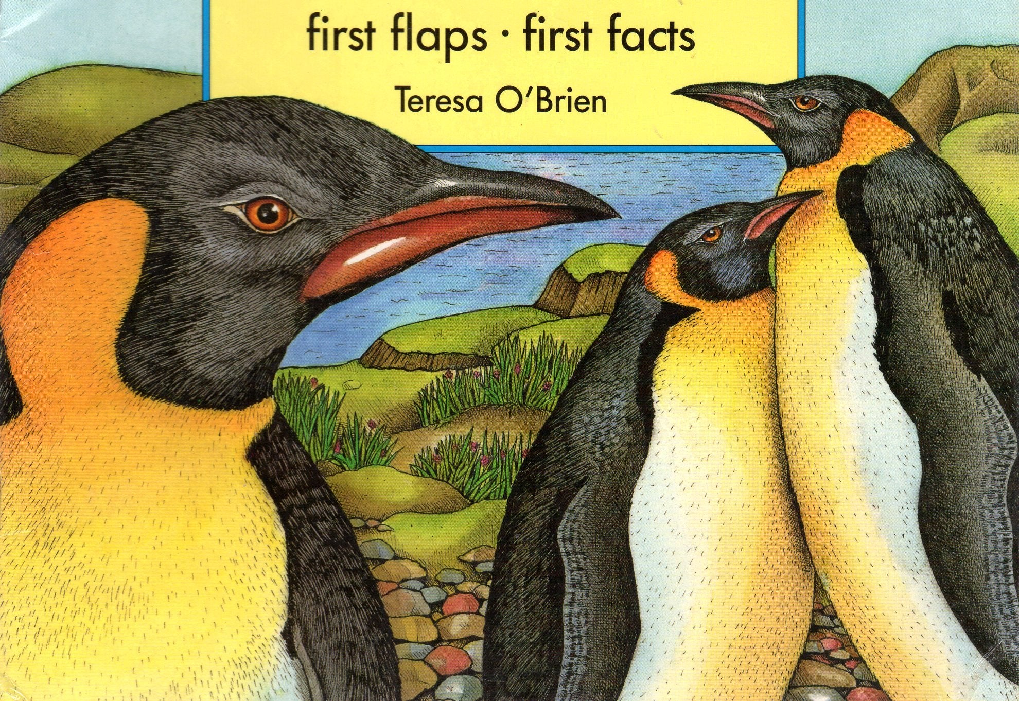 Animals Of The Ocean,Used