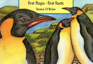 Animals Of The Ocean,Used