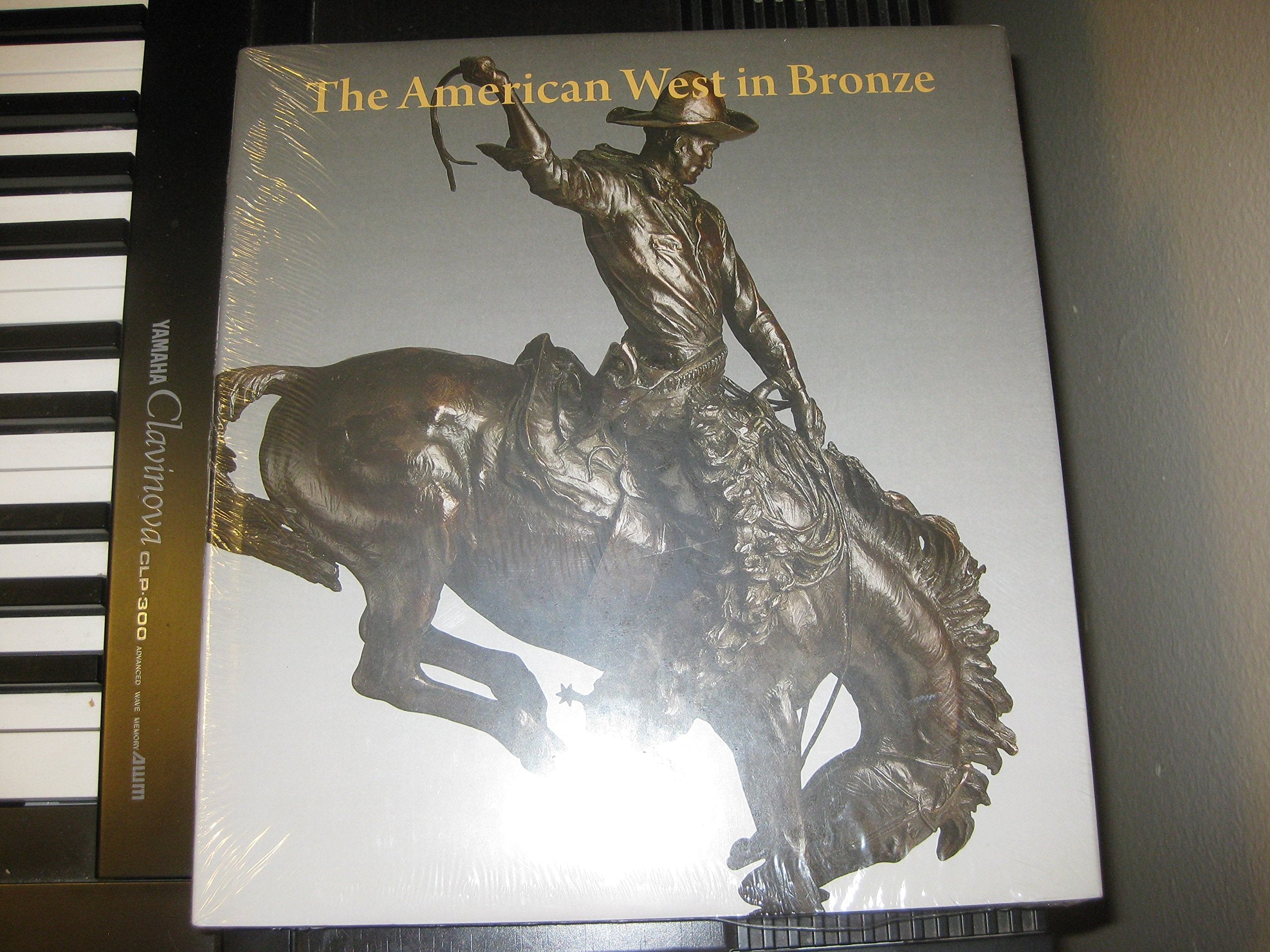 The American West in Bronze, 18501925 (Metropolitan Museum of Art),Used