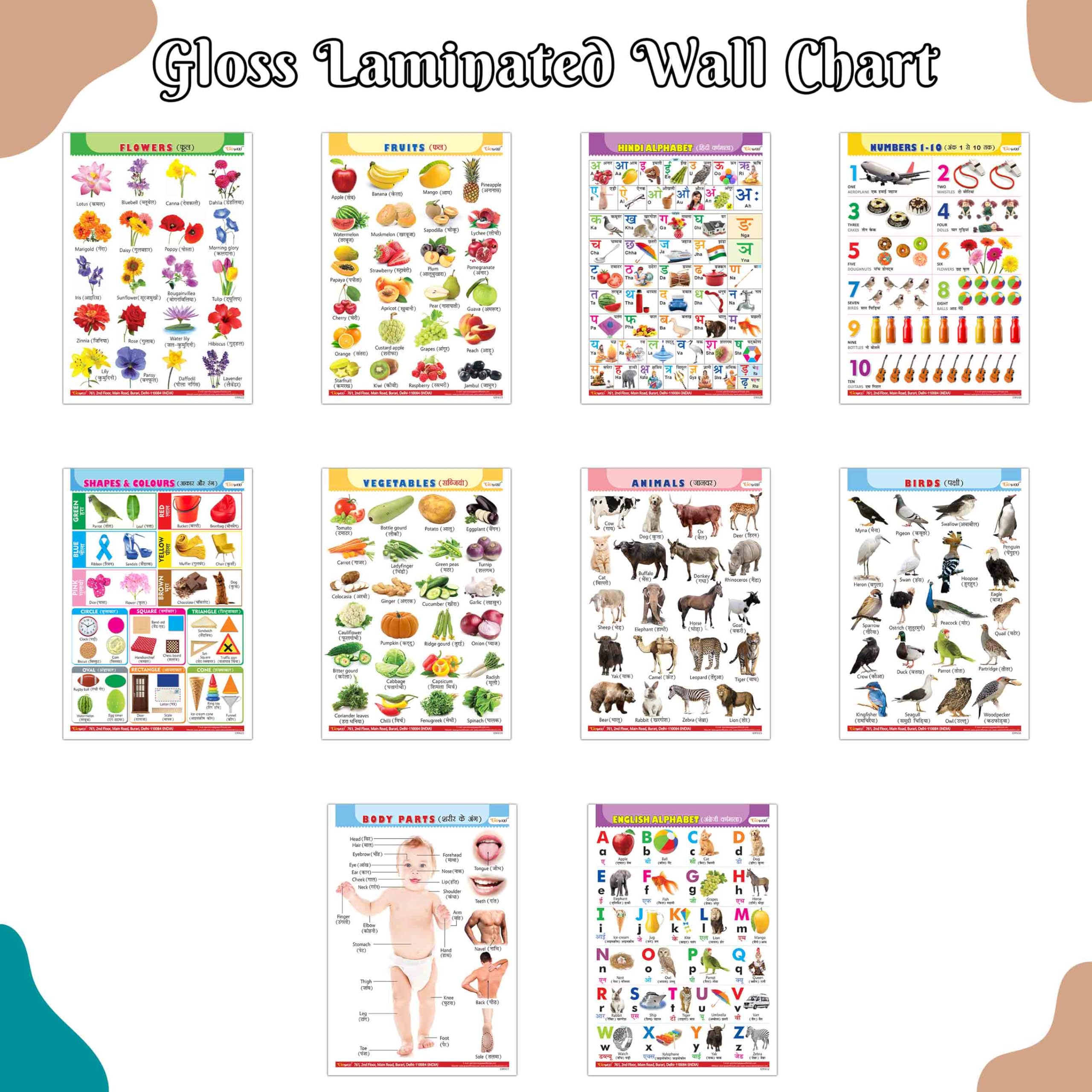Early Childhood Education Wall Charts English-Hindi : Alphabet, Fruits, Vegetables, Animals, Body Parts And More (Pack Of 10) Gloss Laminated Chart, Kids Educational Posters, Childrens Learning Set