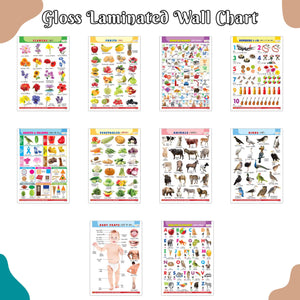 Early Childhood Education Wall Charts English-Hindi : Alphabet, Fruits, Vegetables, Animals, Body Parts And More (Pack Of 10) Gloss Laminated Chart, Kids Educational Posters, Childrens Learning Set