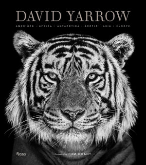 David Yarrow Photography: Americas Africa Antarctica Arctic Asia Europe,Used