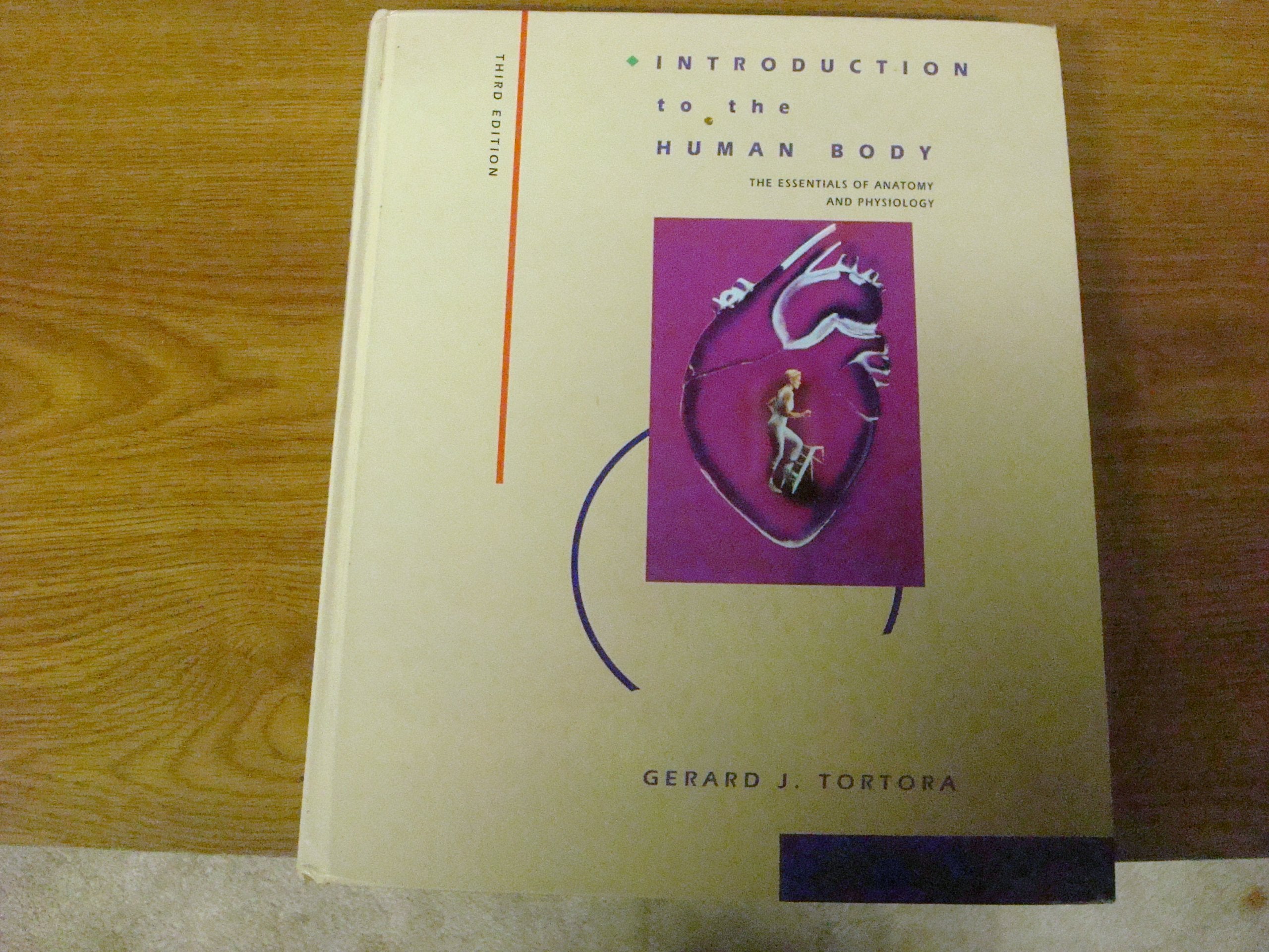 Introduction To The Human Body: The Essentials Of Anatomy And Physiology,Used