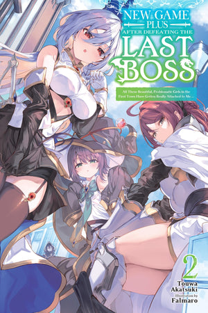 New Game Plus After Defeating The Last Boss, Vol. 2 (Light Novel): All These Beautiful, Problematic Girls In The First Town Have