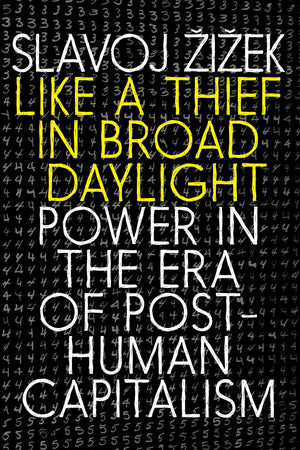 Like a Thief in Broad Daylight: Power in the Era of PostHuman Capitalism,New