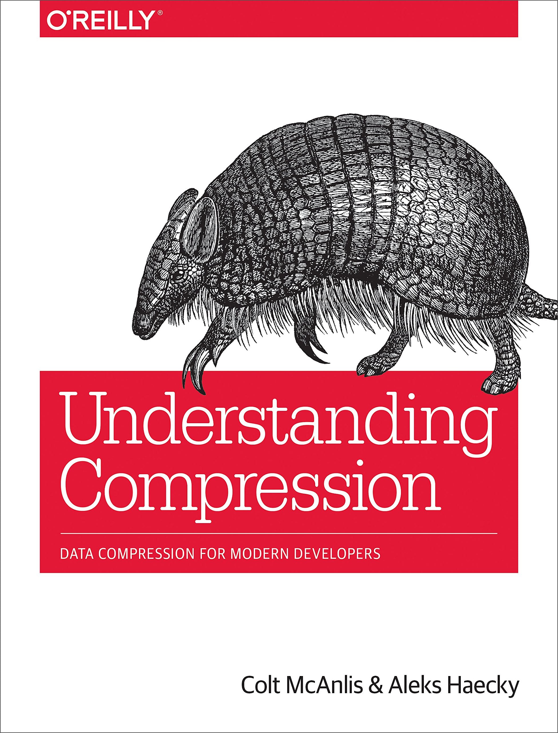 Understanding Compression: Data Compression for Modern Developers,Used