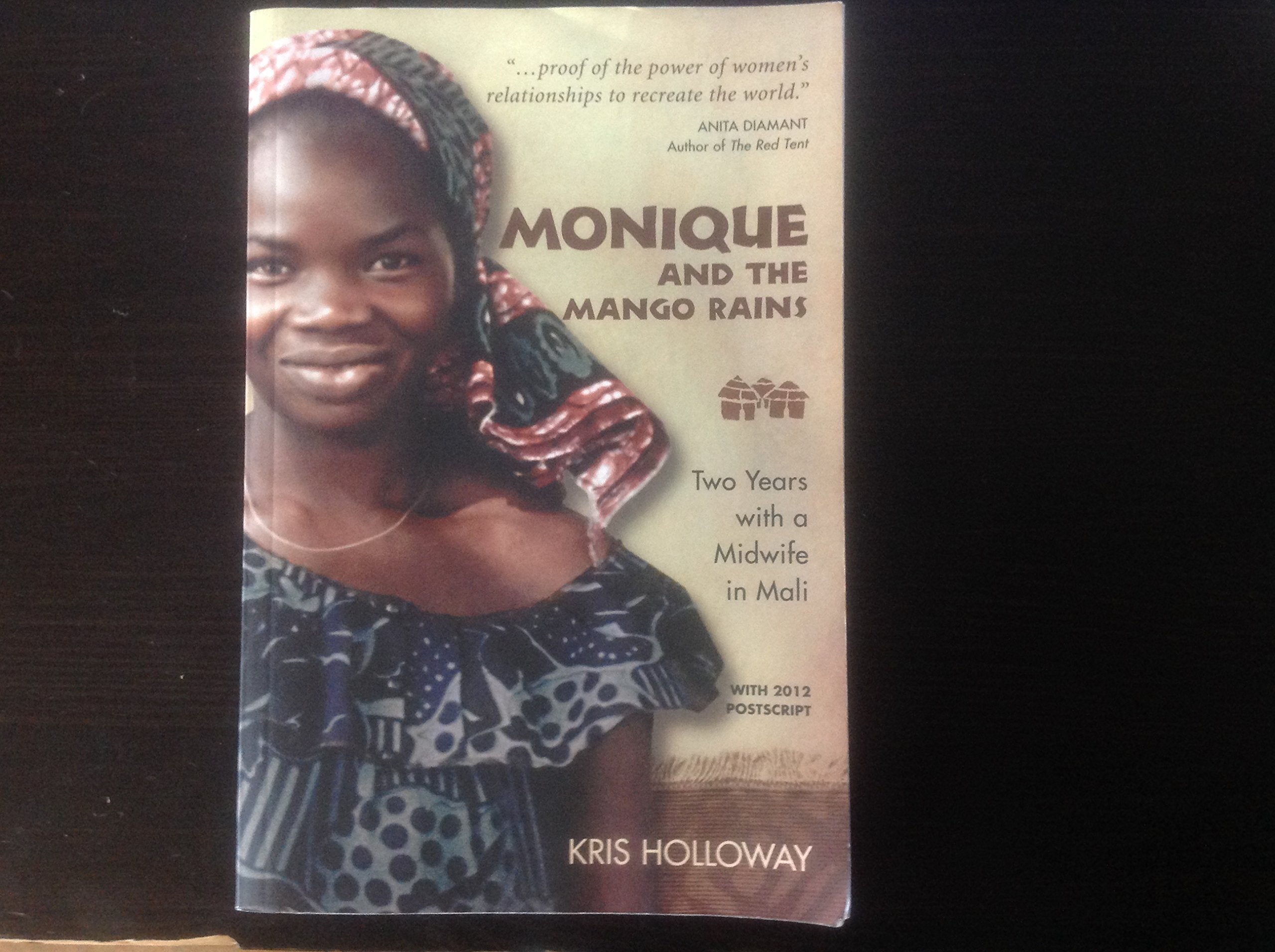 Monique And The Mango Rains: Two Years With A Midwife In Mali