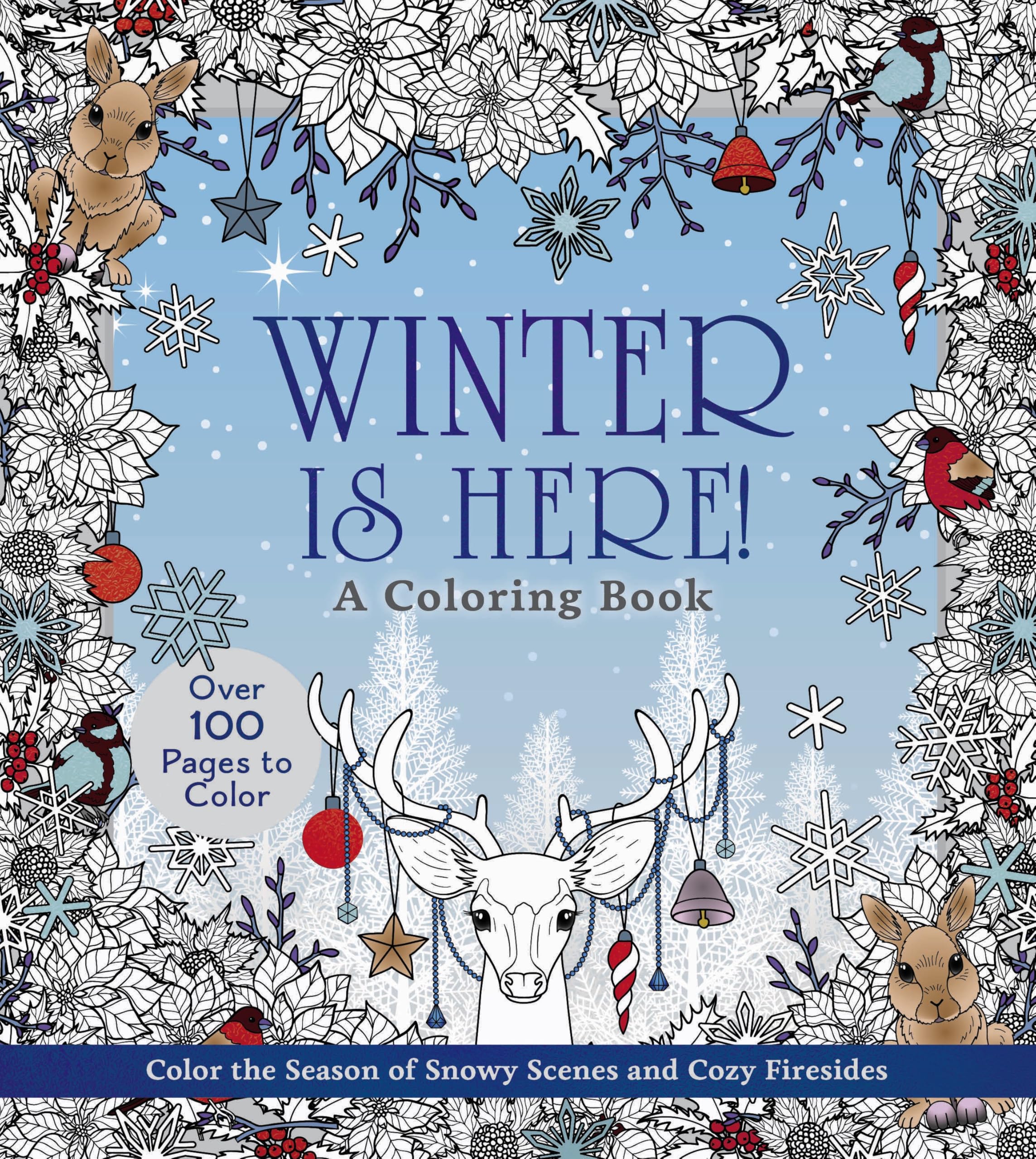 Winter Is Here Coloring Bk