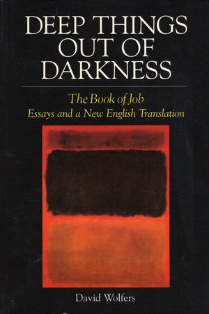 Deep Things Out of Darkness: The Book of Job, Essays and a New English Translation,Used