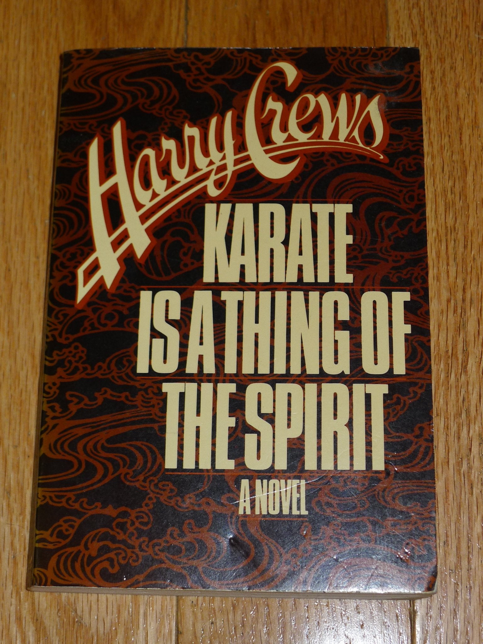 Karate Is a Thing of the Spirit: A Novel,Used