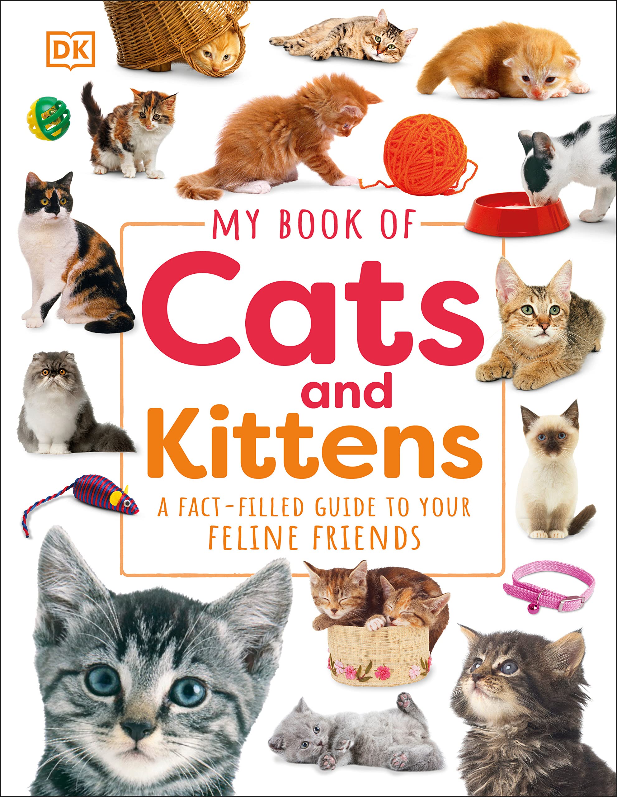 My Book Of Cats And Kittens: A Factfilled Guide To Your Feline Friends,Used