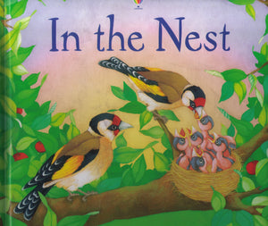 In The Nest (First Discovery),Used