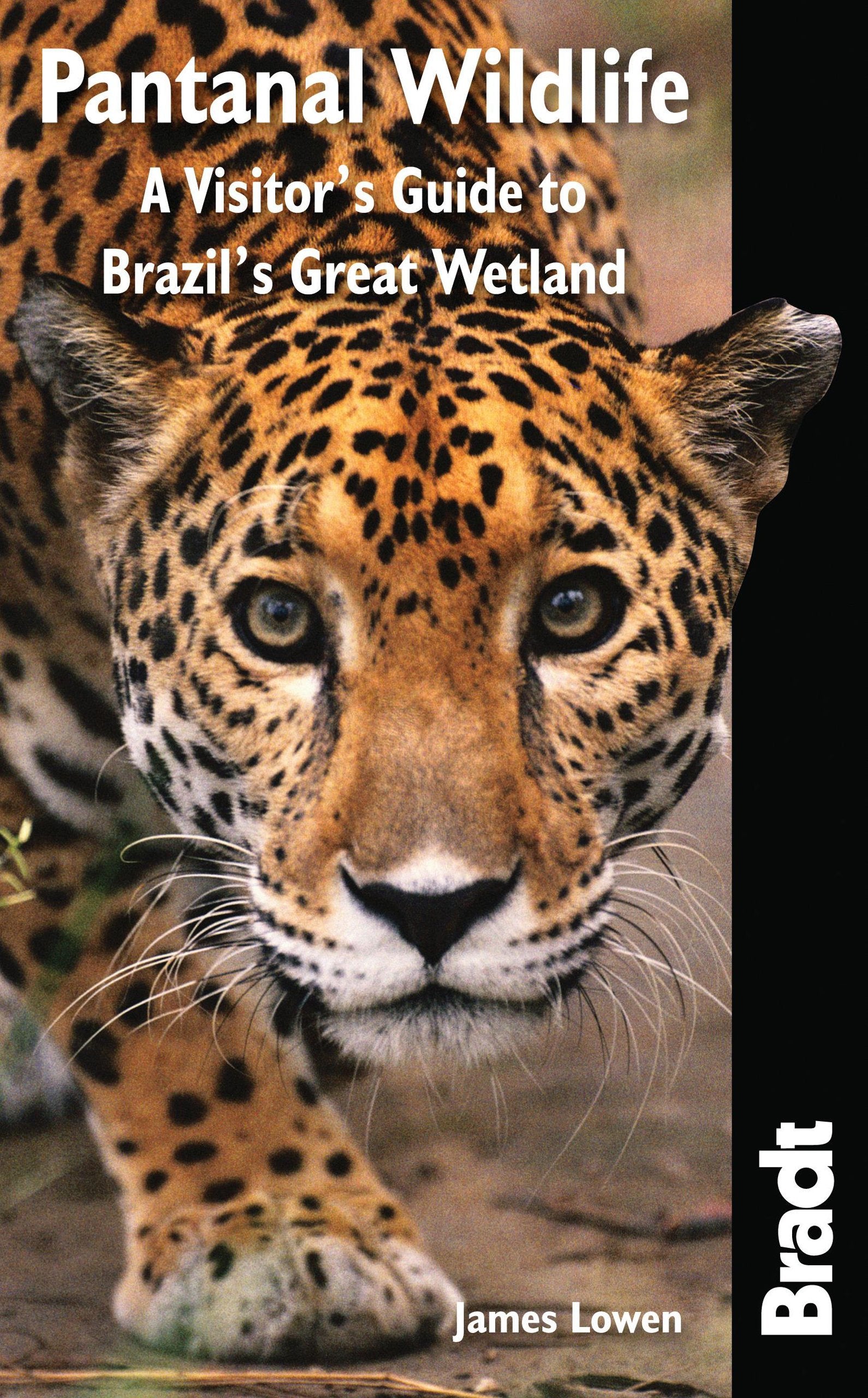 Pantanal Wildlife: A Visitor's Guide To Brazil's Great Wetland (Bradt Wildlife Explorer),Used